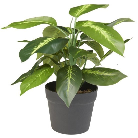 Dieffenbachia kunstplant 50cm groen