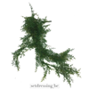 Anethum graveolens kunsthangplant 70cm groen