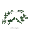 Capparis spinosa kunst klimplant 180cm groen