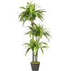 Dracaena lemon lime kunstplant 120cm groen, geel