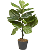 Ficus Lyrata kunstplant 75cm groen