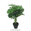 Monstera kunstplant 60cm groen