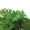 Monstera kunstplant 60cm groen