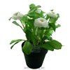 Callistephus chinensis kunstplant 25cm wit