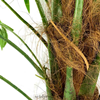 Palm tree artificial plant 250cm green