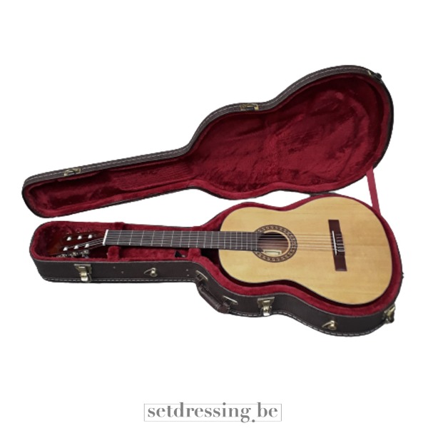 Akoestische gitaar in koffer bruin