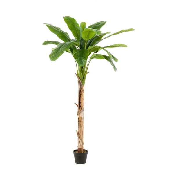 Bananenboom kunstplant 180cm groen, bruin