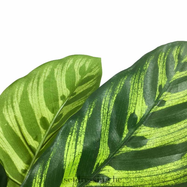 Calathea makoyana kunstplant 80cm groen