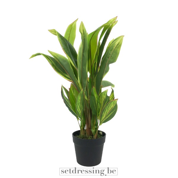 Cordyline fruticosa kunstplant 60cm groen