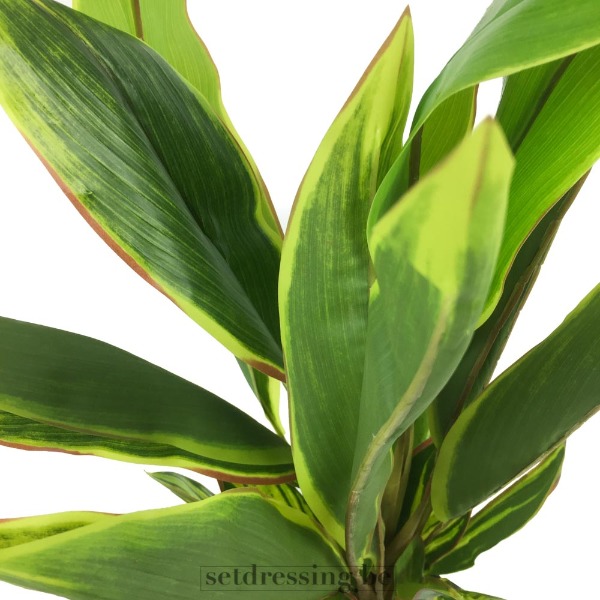 Cordyline fruticosa kunstplant 60cm groen