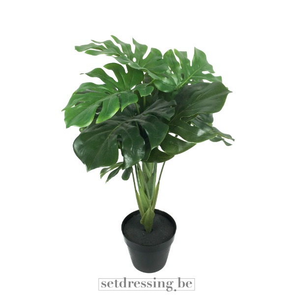 Monstera kunstplant 60cm groen