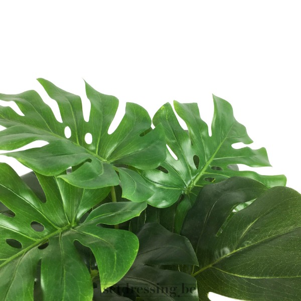 Monstera kunstplant 60cm groen