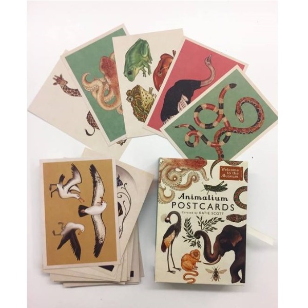 Wenskaarten set van 50 Animalium