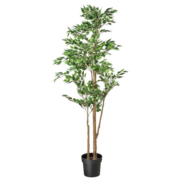 Ficus benjamin kunstplant 170cm groen