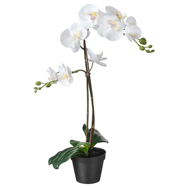 Orchidee kunstplant 65cm wit