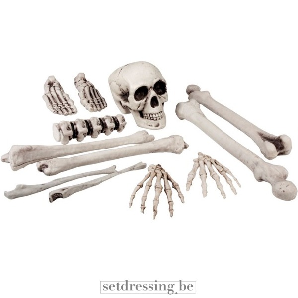 Verzameling menselijke botten wit